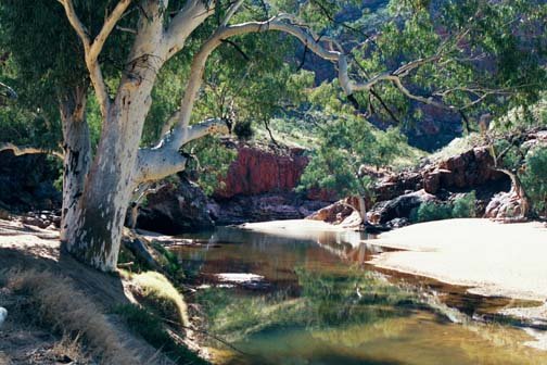 AUS NT OrmistonGorge 2001JUL11 001