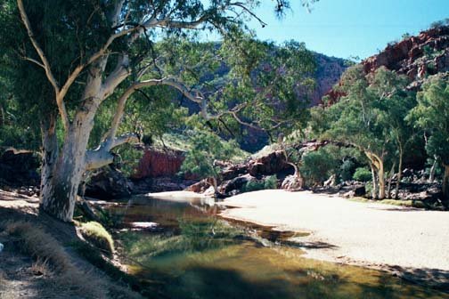 AUS NT OrmistonGorge 2001JUL11 002