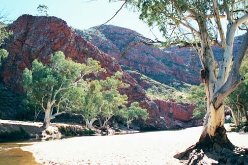 AUS NT OrmistonGorge 2001JUL11 003