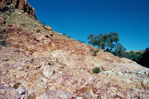 AUS NT OrmistonGorge 2001JUL11 009