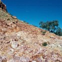 AUS NT OrmistonGorge 2001JUL11 009 : 2001, 2001 The "Gruesome Twosome" Australian Tour, Australia, Date, July, Month, NT, Ormiston Gorge, Places, Trips, Western MacDonnells, Year