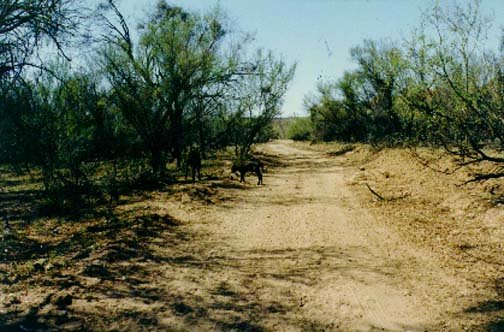 AUS NT RossRiver 1991DEC 009