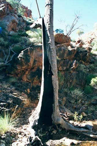 AUS NT StandleyChasm 2001JUL11 001