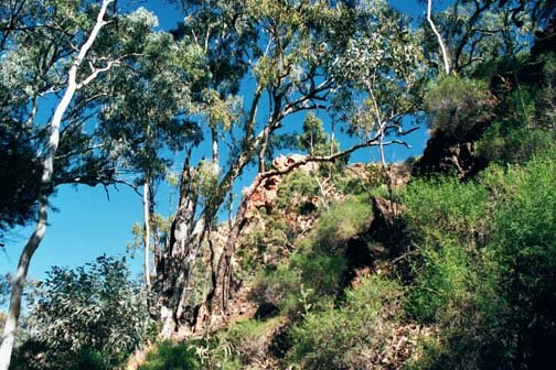 AUS NT StandleyChasm 2001JUL11 003