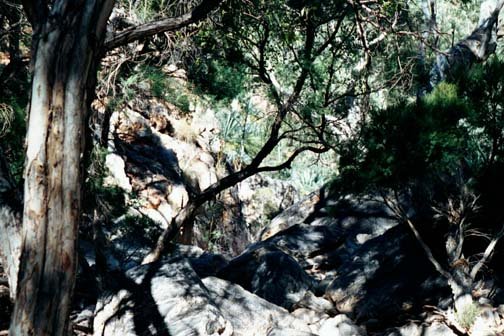 AUS NT StandleyChasm 2001JUL11 005