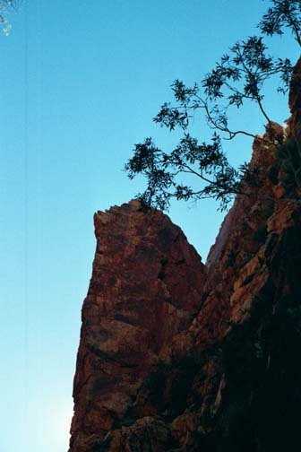 AUS NT StandleyChasm 2001JUL11 007