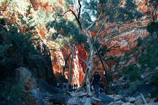 AUS NT StandleyChasm 2001JUL11 008