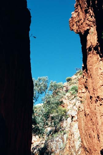 AUS NT StandleyChasm 2001JUL11 010
