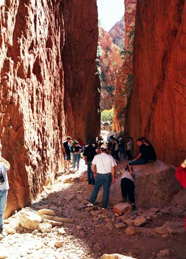 AUS NT StandleyChasm 2001JUL11 013