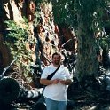 AUS NT StandleyChasm 2001JUL11 006 : 2001, 2001 The "Gruesome Twosome" Australian Tour, Australia, Date, July, Month, NT, Places, Standley Chasm, Trips, Western MacDonnells, Year