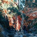AUS NT StandleyChasm 2001JUL11 008  Standley Chasm has been gouged into tough sandstone by floods, over untold millions of years. : 2001, 2001 The "Gruesome Twosome" Australian Tour, Australia, Date, July, Month, NT, Places, Standley Chasm, Trips, Western MacDonnells, Year