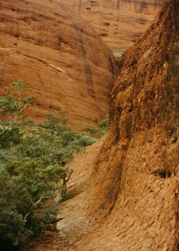 AUS NT TheOlgas 1993MAY 003