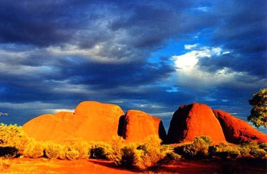 AUS NT TheOlgas 2001 002