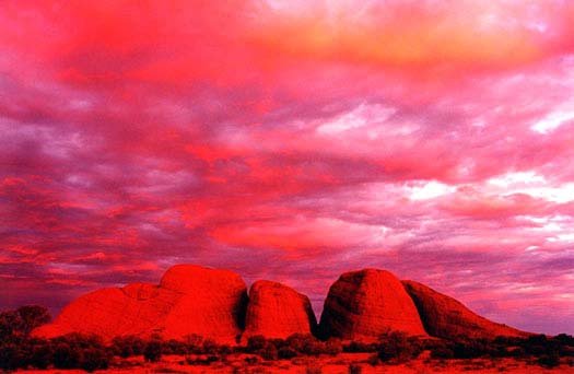 AUS NT TheOlgas 2001 003