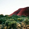 AUS NT TheOlgas 2001JUL13 008  The former takes about three hours and leads you to several deep gorges. : 2001, 2001 The "Gruesome Twosome" Australian Tour, Australia, Date, July, Month, NT, Places, The Olgas, Trips, Year