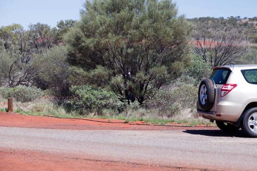 AUS NT TheOlgas 2010OCT11 007