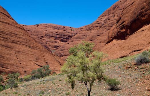AUS NT TheOlgas 2010OCT11 011