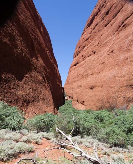 AUS NT TheOlgas 2010OCT11 029