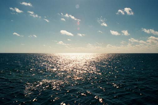 AUS QLD Cairns 2001JUL16 GreatBarrierReef 001