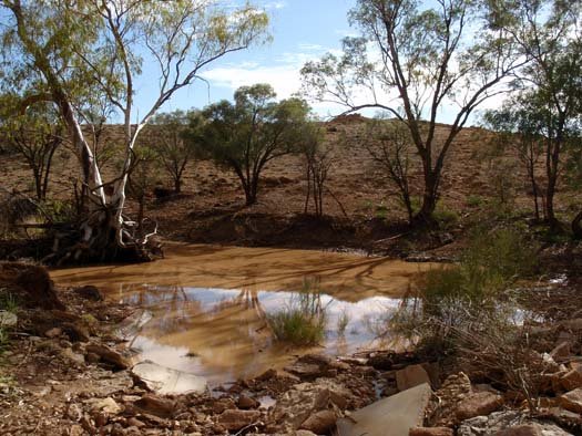 AUS QLD CanningtonMine 2008NOV22 002