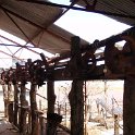 AUS QLD CanningtonMine 2008NOV22 006 : 2008, Australia, Cannington Mine, Date, Month, November, Places, QLD, Year