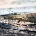 AUS_QLD_CanningtonMine_2009FEB05_015.jpg