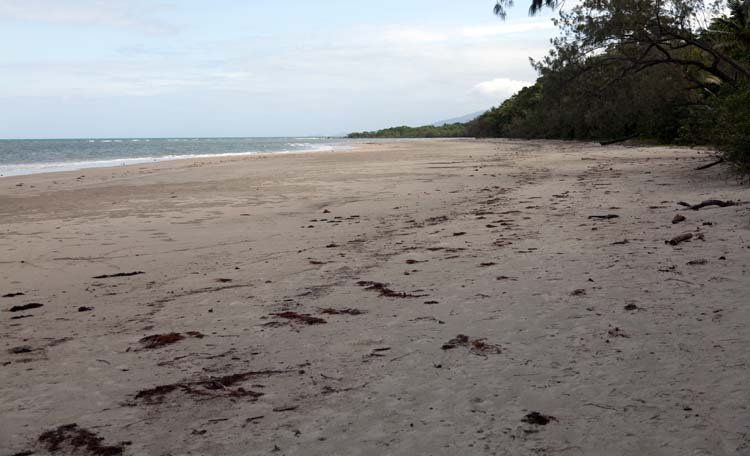 AUS QLD CapeTribulation 2010OCT18 004