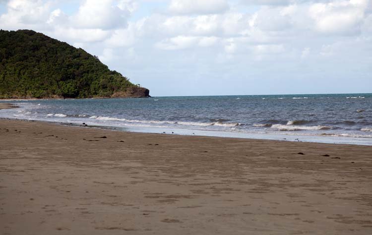 AUS QLD CapeTribulation 2010OCT18 005