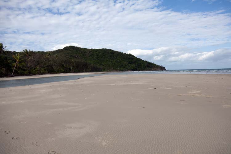 AUS QLD CapeTribulation 2010OCT18 029