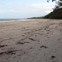 AUS QLD CapeTribulation 2010OCT18 004 : 2010, 2010 - No Doot Aboot It Eh! Tour, Australia, Cape Tribulation, Date, Month, October, Places, QLD, Trips, Year