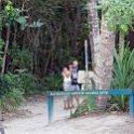 AUS QLD CapeTribulation 2010OCT18 007 : 2010, 2010 - No Doot Aboot It Eh! Tour, Australia, Cape Tribulation, Date, Month, October, Places, QLD, Trips, Year