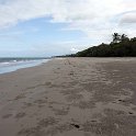 AUS QLD CapeTribulation 2010OCT18 009 : 2010, 2010 - No Doot Aboot It Eh! Tour, Australia, Cape Tribulation, Date, Month, October, Places, QLD, Trips, Year