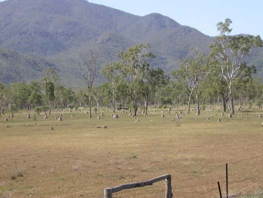 AUS QLD ChartersTowers 2003APR15 002