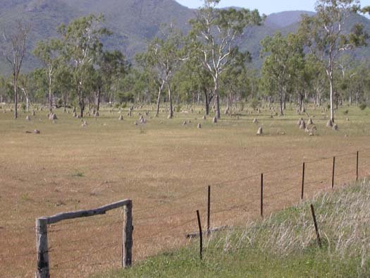AUS QLD ChartersTowers 2003APR15 003