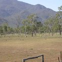 AUS QLD ChartersTowers 2003APR15 002  Them thar things on yonder are what we call ant hills. They are all over the countryside especially the top third of Australia. : 2003, April, Australia, Charters Towers, Date, Month, Places, QLD, Year