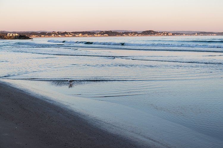 AUST QLD Coolangatta 2016OCT07 Beach 023