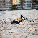 AUST QLD Coolangatta 2016OCT07 Beach 027 : 2016, Australia, Coolangatta, Date, Month, October, Places, QLD, Year