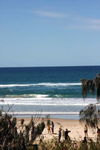AUS QLD FraserIsland 2010SEPT17 CathedralColouredSands 011