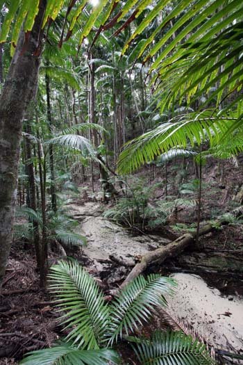 AUS QLD FraserIsland 2010SEPT17 CentralStation 004