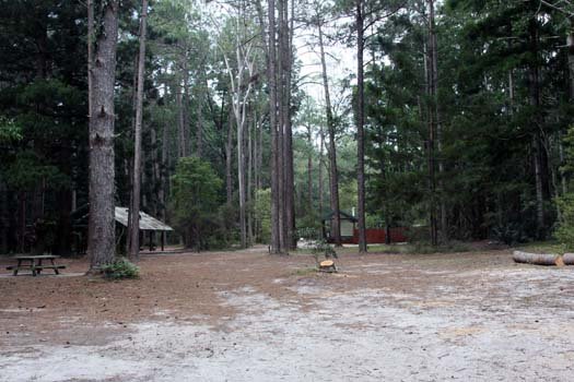 AUS QLD FraserIsland 2010SEPT17 CentralStation 015