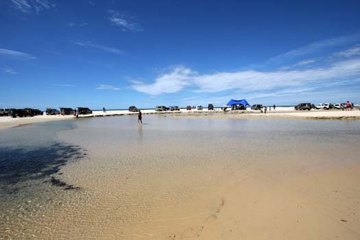 AUS QLD FraserIsland 2010SEPT17 EliCreek 003