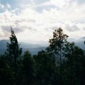 Heales Outlook