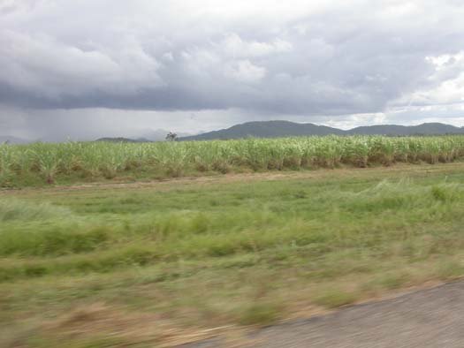 AUS QLD Ingham 2003APR17 003