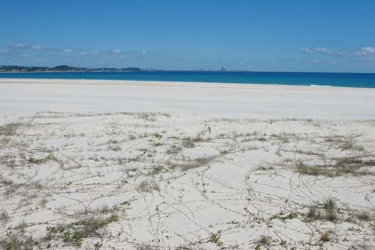 AUS QLD KirraBeach 2006NOV20 002
