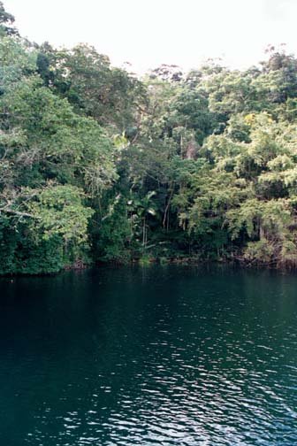 AUS QLD LakeBarrine 2001JUL17 010