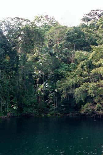 AUS QLD LakeBarrine 2001JUL17 011