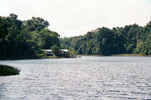 AUS QLD LakeBarrine 2001JUL17 018