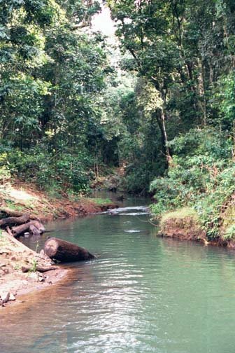 AUS QLD MalandaFalls 2001JUL17 001