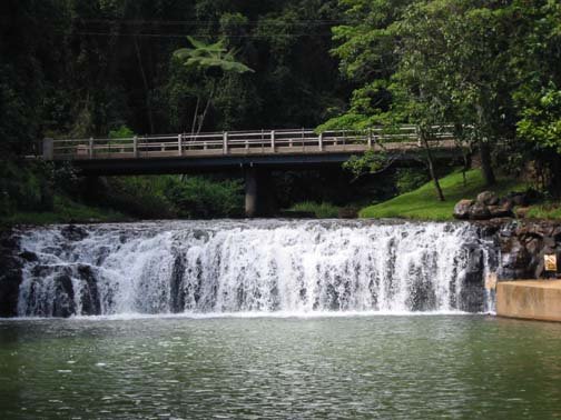 AUS QLD MalandaFalls 2001JUL17 004