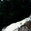 AUS QLD MalandaFalls 2001JUL17 006 : 2001, 2001 The "Gruesome Twosome" Australian Tour, Australia, Date, July, Malanda Falls, Month, Places, QLD, Trips, Year